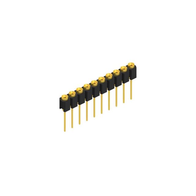 MK 31 10 G
