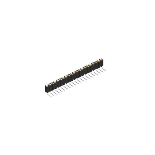 BLY 3 21