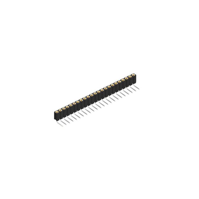 BLY 3 23