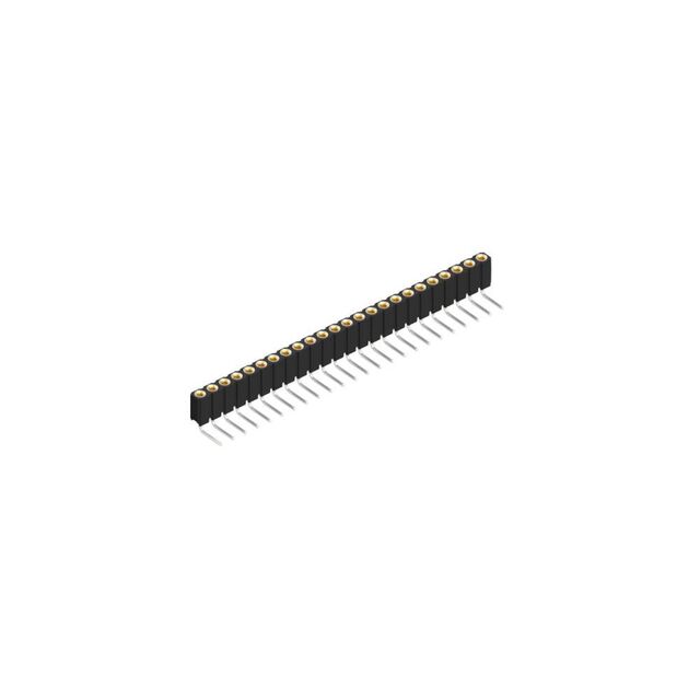 BLY 3 24