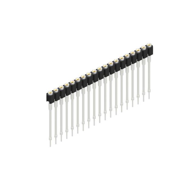 MK 12 X 2 19 Z