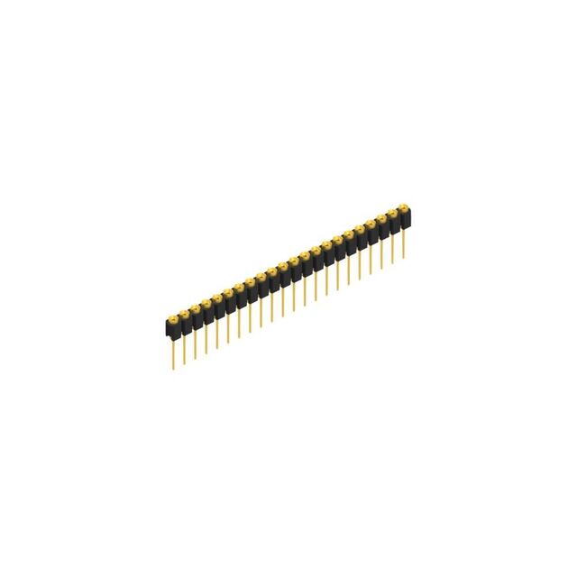 MK 31 22 G