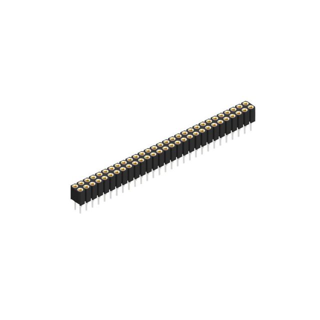 BLY 2 58