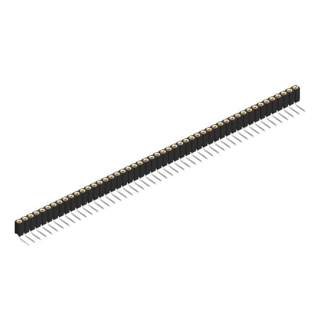 BLY 3 49