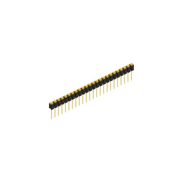 MK 31 24 G