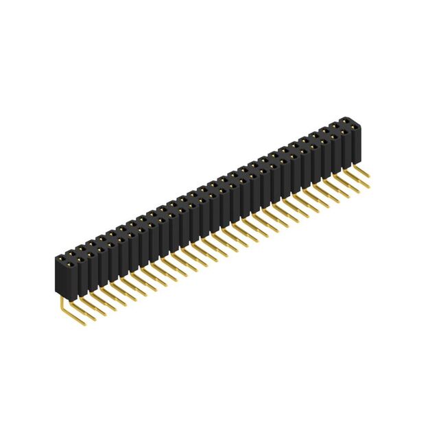 BL 4 58 G