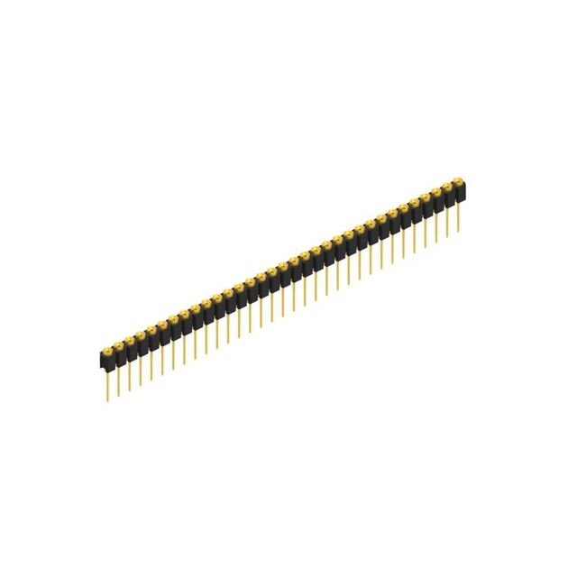 MK 31 33 G
