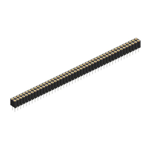 BLY 2 88