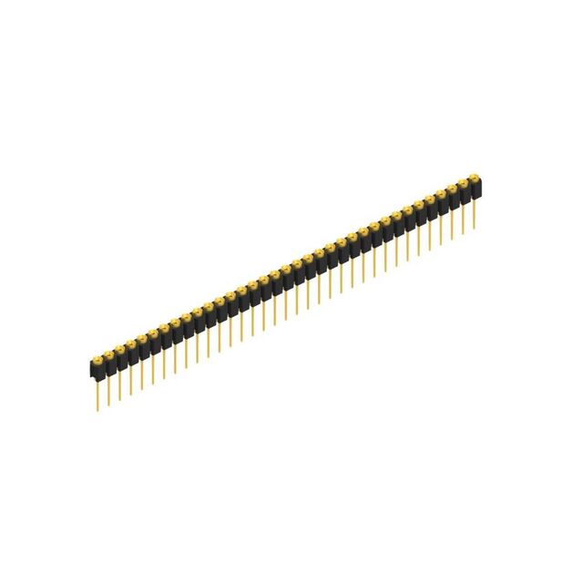 MK 31 35 G
