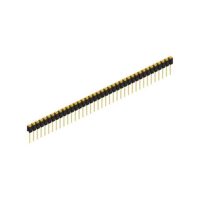 MK 31 38 G