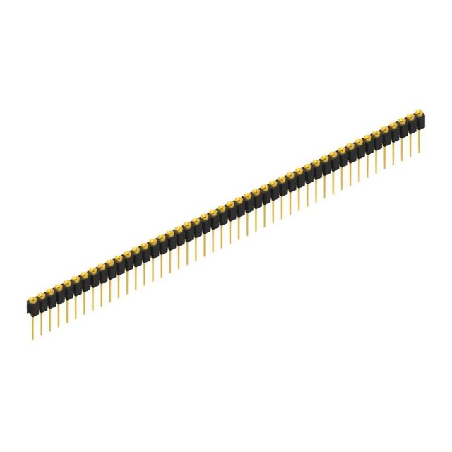 MK 31 46 G