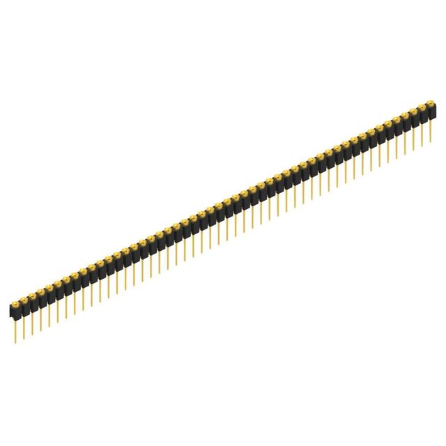 MK 31 50 G