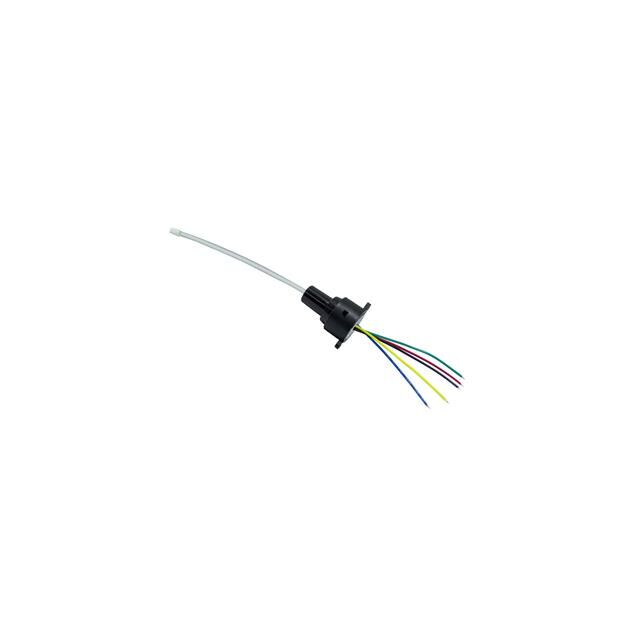 SASG4-6.00-RGB