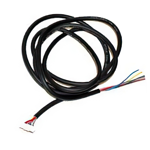 BB-WSCACO-6