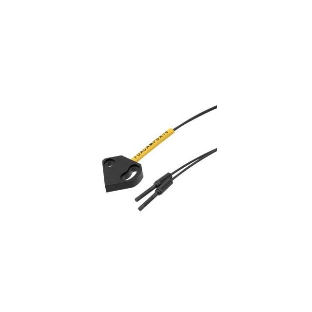 FOACAMPDA10