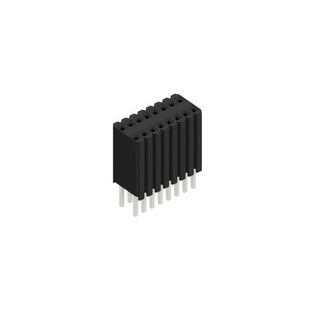 BLM KG 2 16 Z
