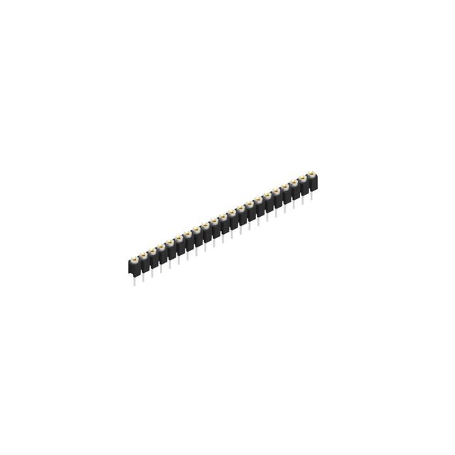 MK 01 21 Z