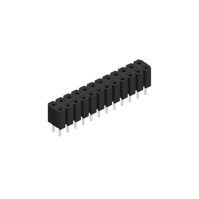 BL LP 2 24 S