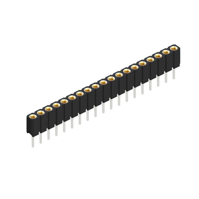 BLY 1 19