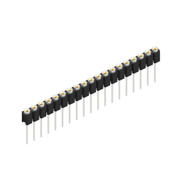 MK 31 19 Z