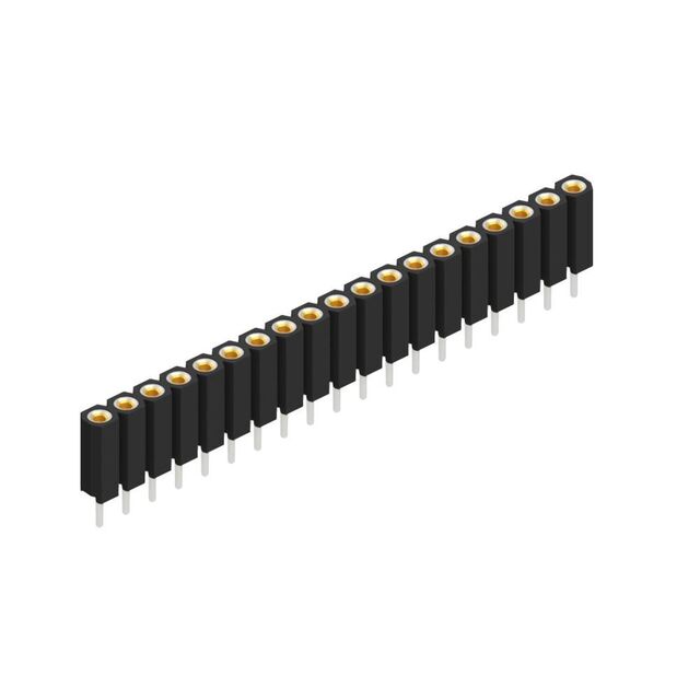 BL 5 19