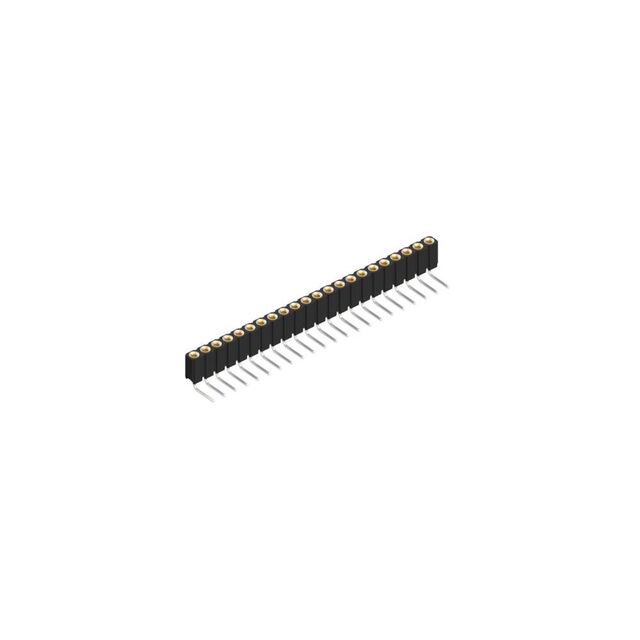 BLY 3 22