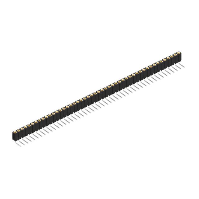 BLY 3 48