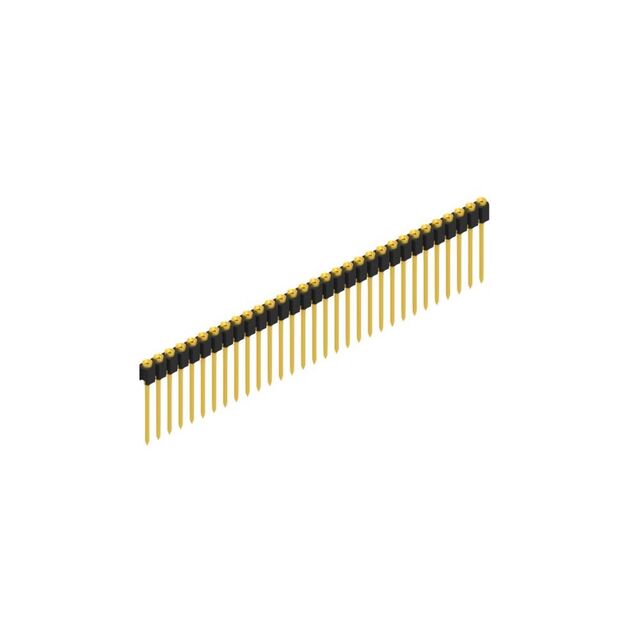 MK 07 31 G