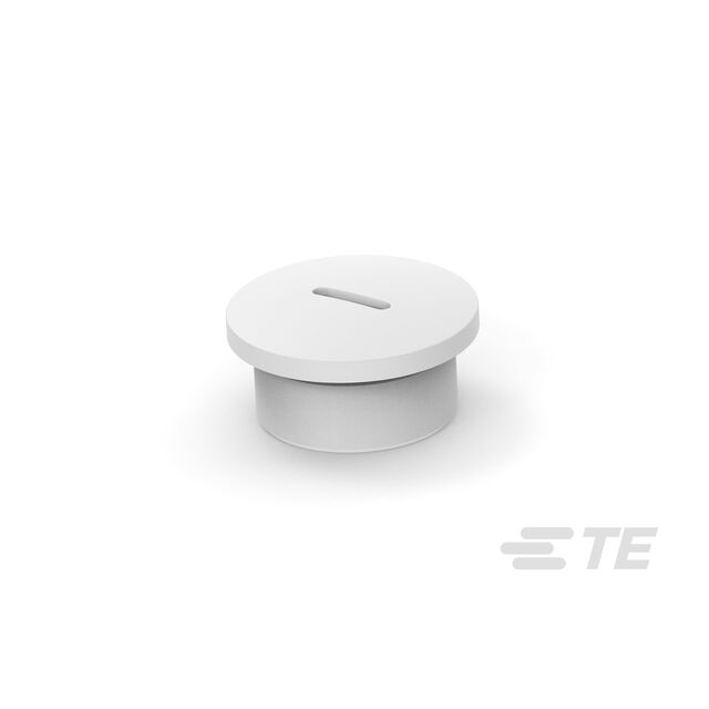 T3166200111-000