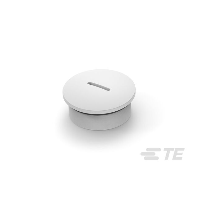 T3166210101-000