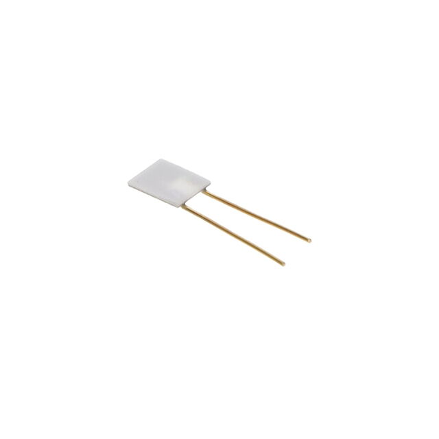 P14 RAPID 2_5