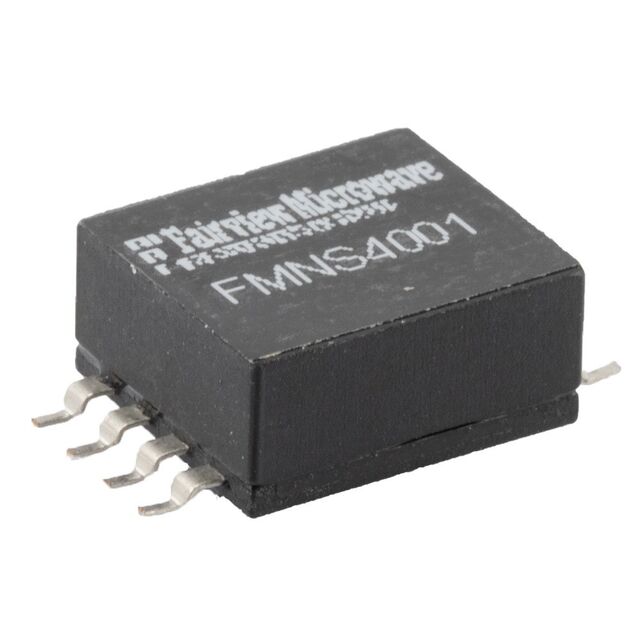 FMNS4001