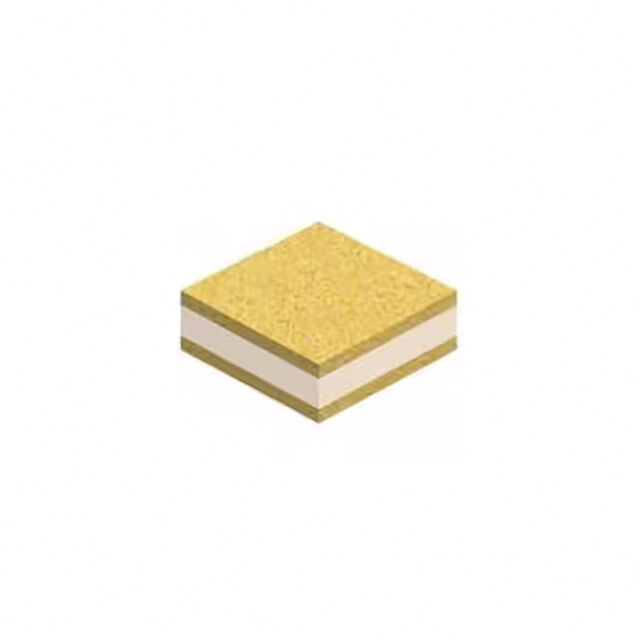 SKT00C101M11A6