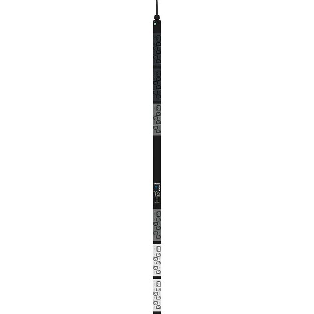 P36D03M