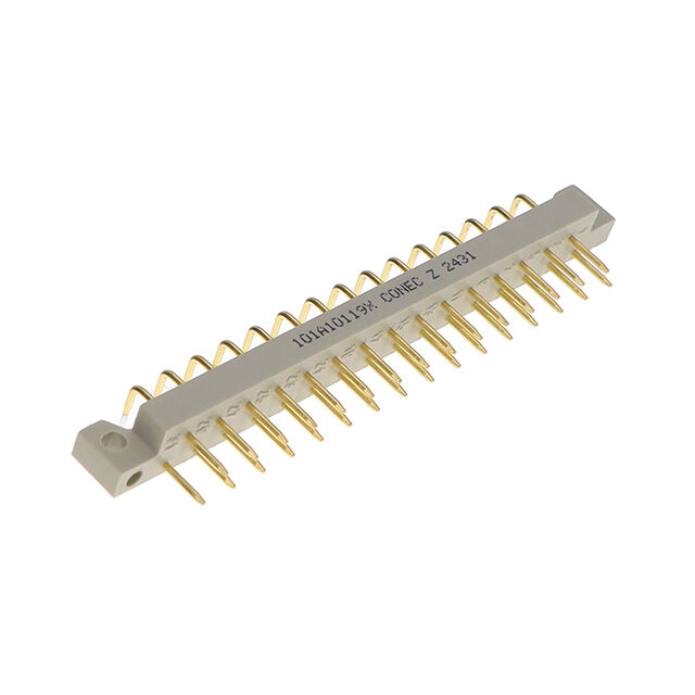 101A10119X