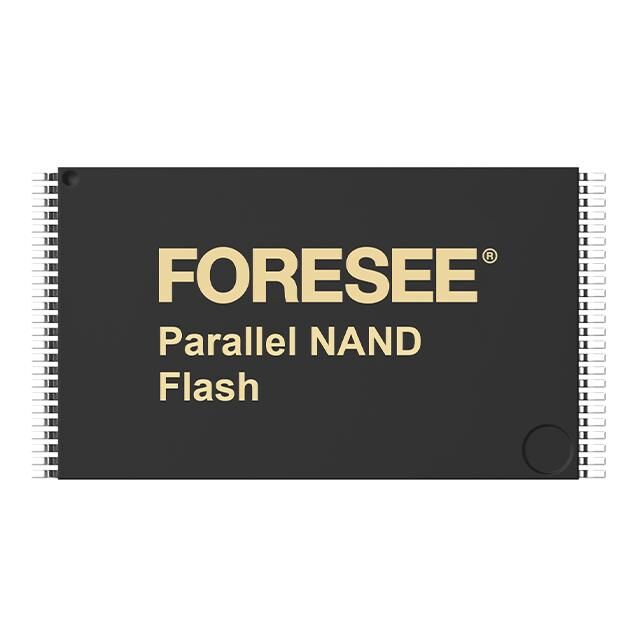 FSNS8B004G-TWT