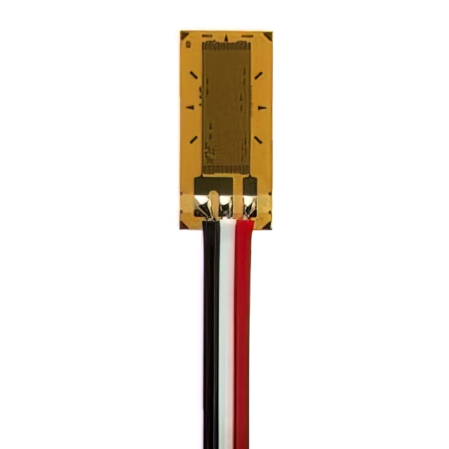 MMF405863