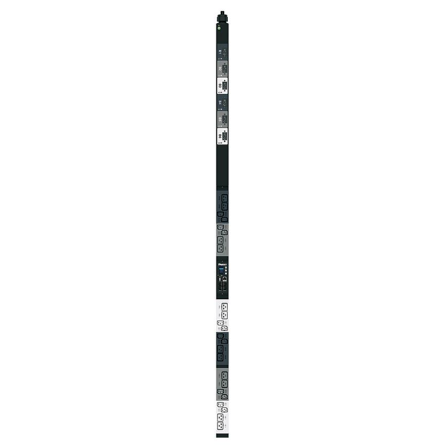 P24D43M