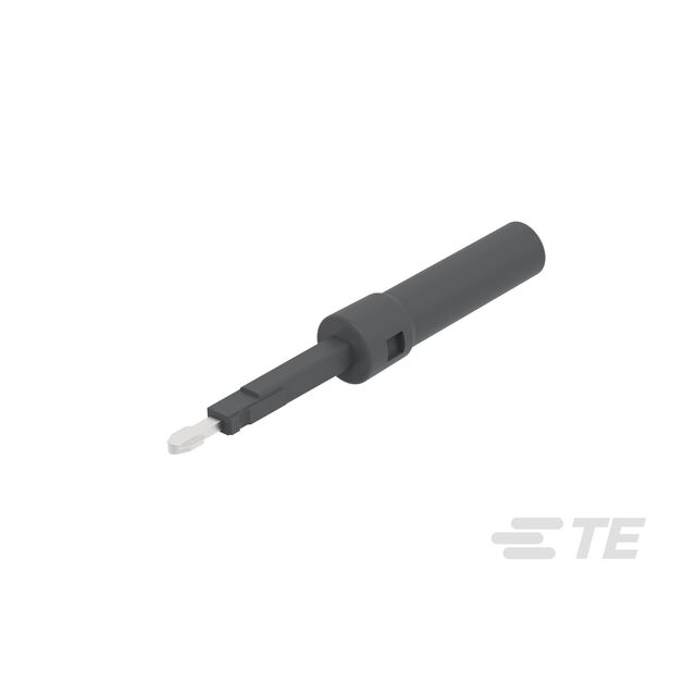 AST4300I00250P1P1000-SS