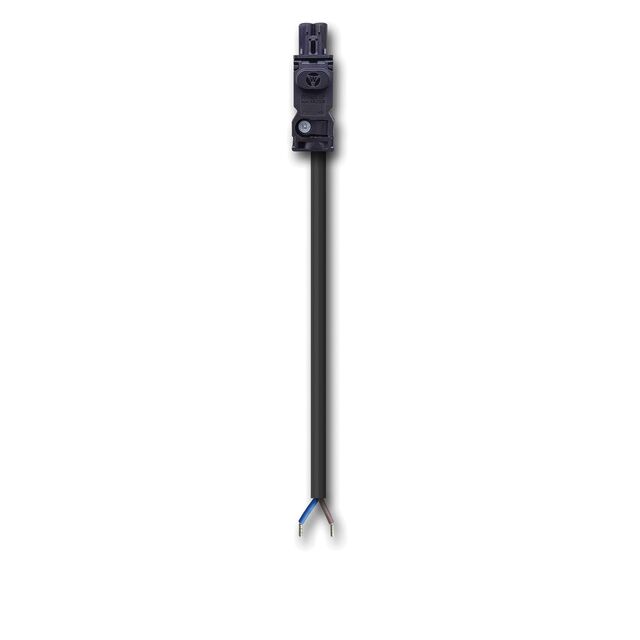 CELC3001PBUL