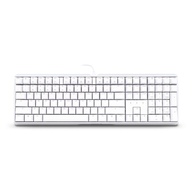 G80-3874HXAUS-0