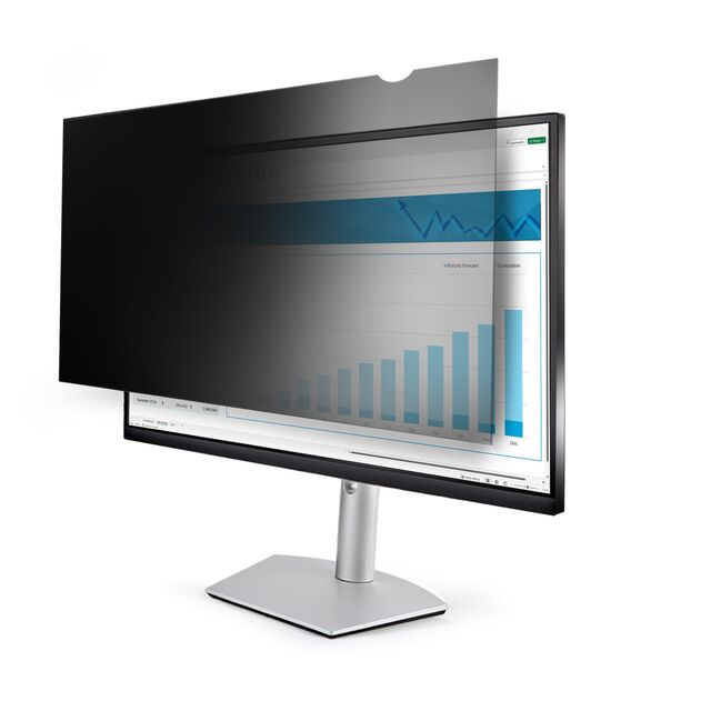 23669-PRIVACY-SCREEN