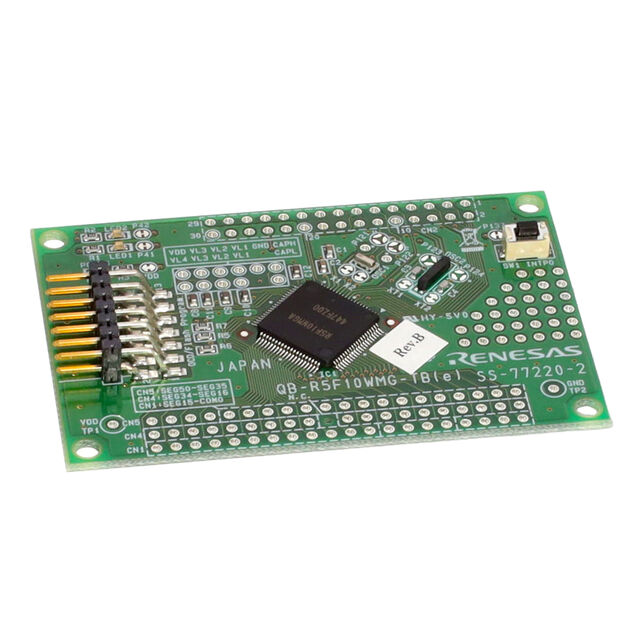 QB-R5F10WMG-TB