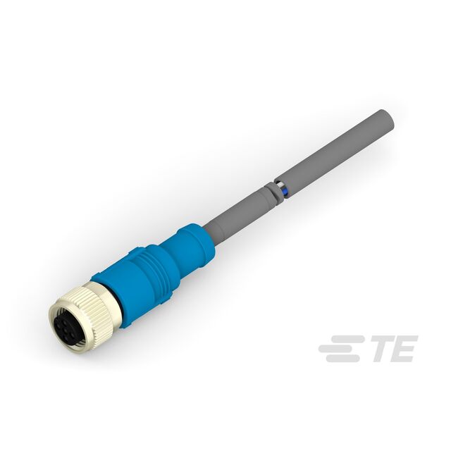 T4161320004-003
