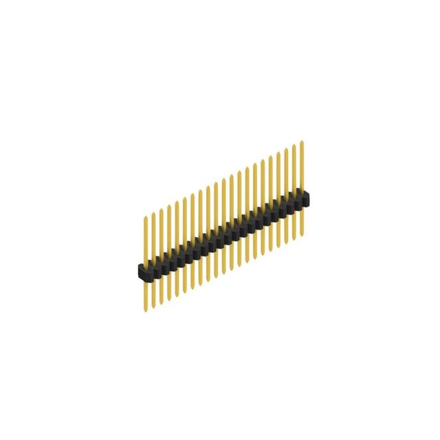 SLV W 11 080 21 Z