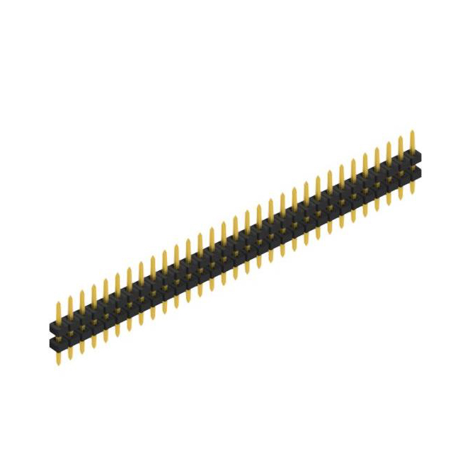 SLY 5 040 31 G