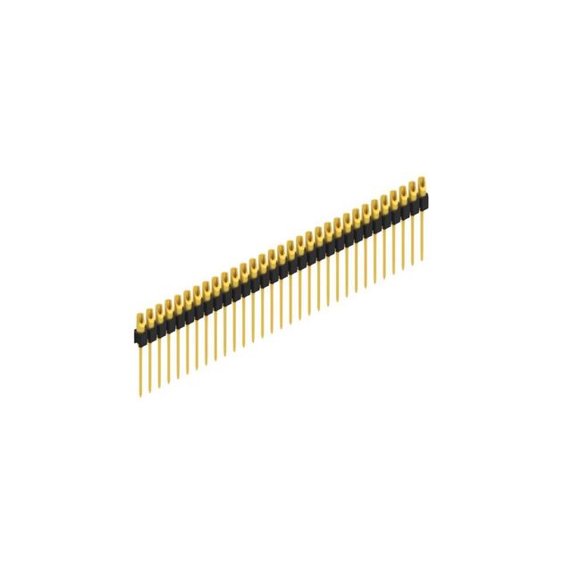 MK 10 31 G