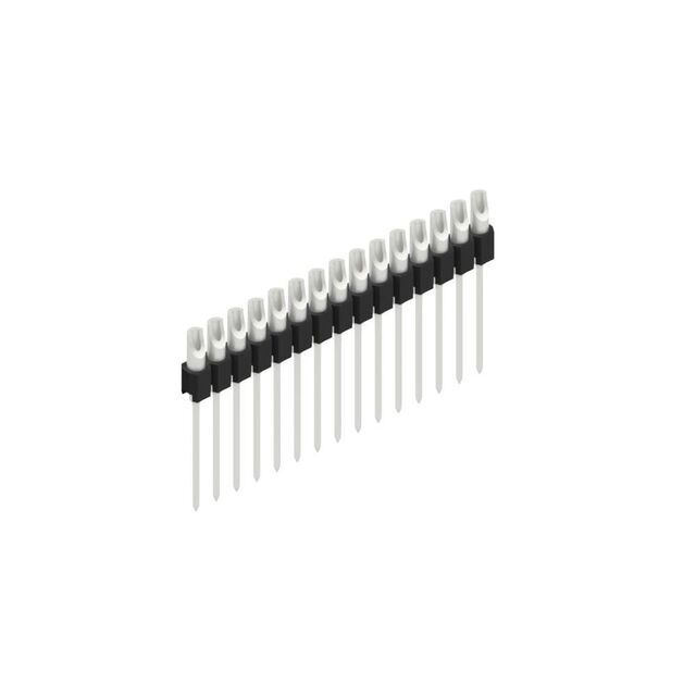MK 10 15 Z