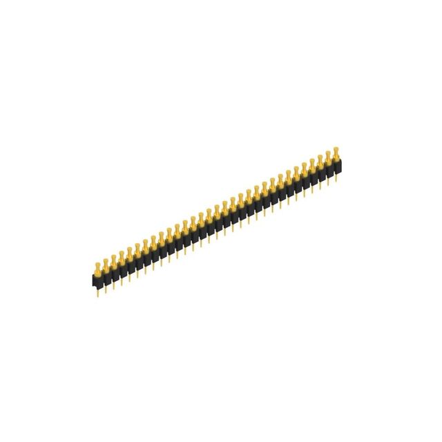 MK 03 31 G