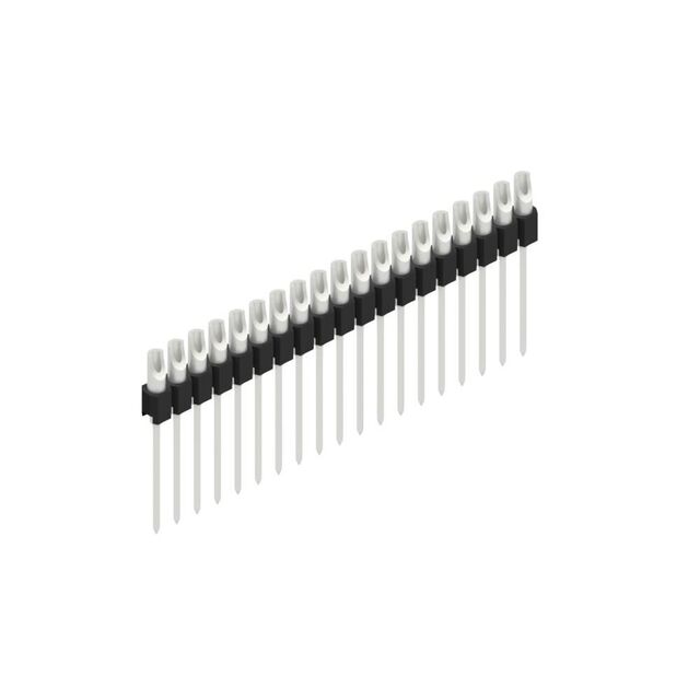 MK 10 19 Z